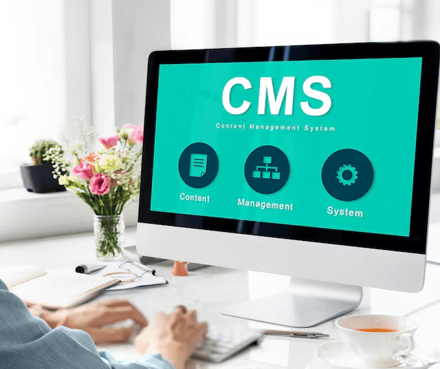 CMS and Portal Development